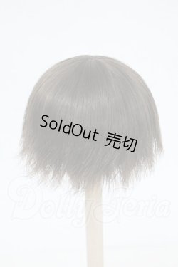 画像2: 5.5inch/ウィッグ Y-26-04-01-280-WT-ZY