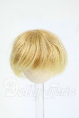 4inch/ウィッグ Y-26-04-01-224-WT-ZY