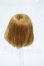 画像2: 4inch/ウィッグ Y-26-04-01-226-WT-ZY (2)