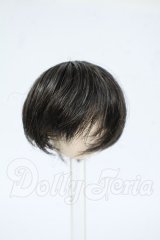 4inch/ウィッグ Y-26-04-01-223-WT-ZY