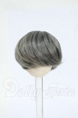 4inch/ウィッグ Y-26-04-01-220-WT-ZY