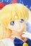 画像1: DDS/美少女戦士セーラームーン:セーラーヴィーナス Y-26-04-08-041-WT-ZY (1)