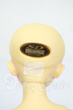 画像4: MSD/健:メイクカスタムあり Y-26-04-08-200-WT-ZY