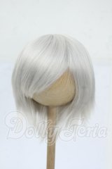 9inch/ウィッグ Y-26-04-15-105-WT-ZY