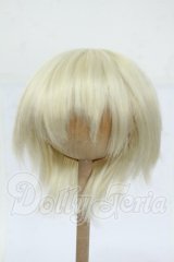 9inch/ウィッグ Y-26-04-15-106-WT-ZY