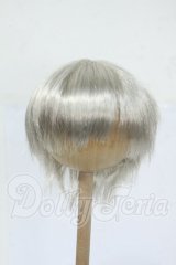 9inch/ウィッグ Y-26-04-15-110-WT-ZY