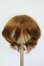 画像1: 9inch/ウィッグ Y-26-04-15-113-WT-ZY (1)