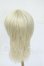 画像2: 9inch/ウィッグ Y-26-04-15-109-WT-ZY (2)