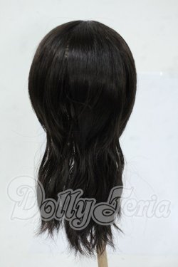 画像2: 9-10inch/ウィッグ Y-26-04-15-119-WT-ZY