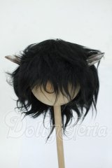 9-10inch/ウィッグ Y-26-04-15-120-WT-ZY