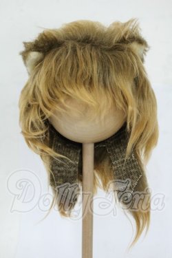 画像1: 9-10inch/ウィッグ Y-26-04-15-117-WT-ZY