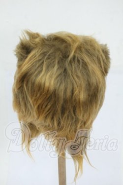 画像2: 9-10inch/ウィッグ Y-26-04-15-117-WT-ZY