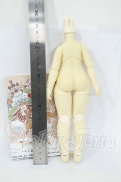 画像2: TinyFox/1/6ボディ Y-26-04-08-081-WT-ZY