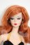 画像1: Barbie/Fashion Model:Dusk to down Y-26-04-08-078-WT-ZY (1)
