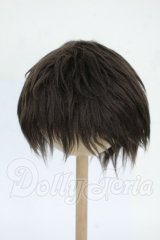 9-10inch/ウィッグ Y-26-04-08-050-WT-ZY