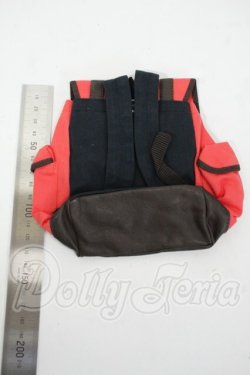 画像2: SD/OF:バックパック Y-26-04-08-339-WT-ZY