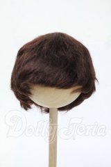 8-9inch/ウィッグ Y-26-04-08-329-WT-ZY