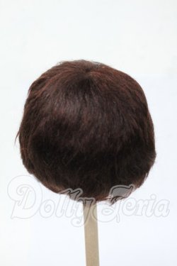 画像2: 8-9inch/ウィッグ Y-26-04-08-329-WT-ZY