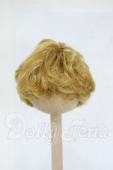 5.5inch/ウィッグ Y-26-04-15-032-WT-ZY