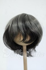 8-9inch/ウィッグ Y-26-04-15-034-WT-ZY