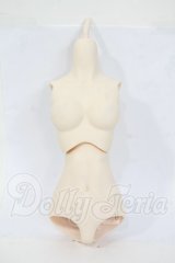 DDS/ベースボディIII Y-26-04-15-157-WT-ZY