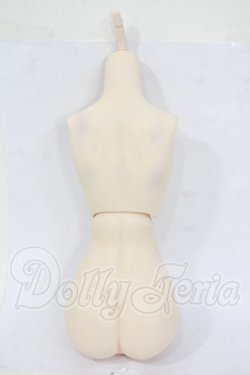 画像2: DDS/ベースボディIII Y-26-04-15-157-WT-ZY