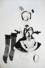 MDD/OF:M+V Studio様製 ユグンミウサギ Y-26-04-22-107-WT-ZY