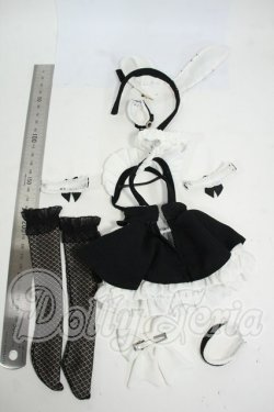 画像2: MDD/OF:M+V Studio様製 ユグンミウサギ Y-26-04-22-107-WT-ZY