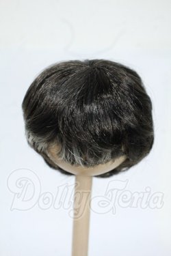 画像1: 6-7inch/ウィッグ Y-26-04-29-164-WT-ZY