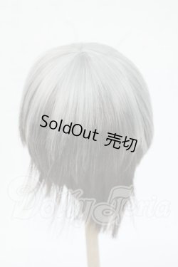 画像2: 9-10inch/ウィッグ Y-26-04-29-088-WT-ZY