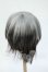 画像2: 9-10inch/ウィッグ Y-26-04-29-088-WT-ZY (2)
