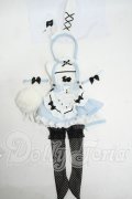 MDD/OF:M+V Studio様製 ユグンミウサギ Y-26-04-29-257-WT-ZY