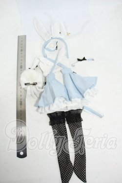 画像2: MDD/OF:M+V Studio様製 ユグンミウサギ Y-26-04-29-257-WT-ZY