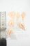 画像2: azone/ハンドパーツセット Y-26-05-01-016-WT-ZY (2)