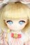 画像1: TinyFox/「花の魔女」フローラ・ミスティ【Flora Misty】1/6 Y-26-05-01-053-WT-ZY (1)