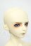 画像2: LUTS/Senior Delf 65:Avalance Y-26-05-08-005-WT-ZY (2)