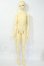 画像5: BJD CROBI/Ys:M-Line Y-26-05-08-003-WT-ZY (5)
