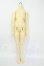 画像1: BJD CROBI/R-Line ボディ Y-26-05-08-007-WT-ZY (1)