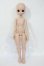 画像4: MDD/ドリームチョイス:DC-H-21ヘッド Y-26-05-08-032-WT-ZY (4)