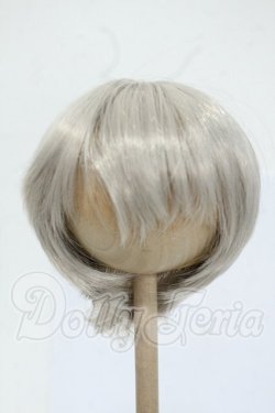 画像1: 8-9inch/ウィッグ Y-26-05-08-020-WT-ZY