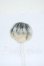 画像1: 4inch/ウィッグ Y-26-05-08-028-WT-ZY (1)