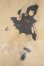 画像3: DDdy/OF:鴉天狗のお洋服 Y-26-05-08-200-WT-ZY (3)