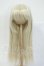 画像1: 9inch/Ronshuka Couture様製 ウィッグ Y-26-05-08-259-WT-ZY (1)