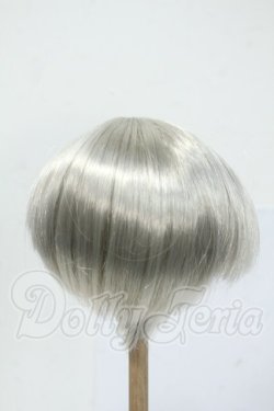 画像2: 8-9inch/ウィッグ Y-26-05-08-258-WT-ZY