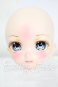 DD/DDH-10 (カスタマー様)カスタムヘッド Y-26-05-15-235-WT-ZY