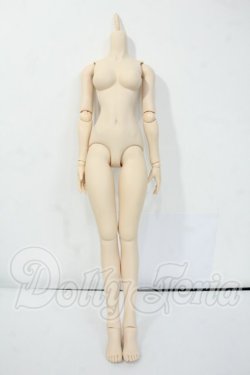 画像1: DDS/ベースボディIII Y-26-05-15-237-WT-ZY
