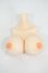 画像1: ANGEL PHILIA/vmf50用外皮パーツ:上胴パーツ Soft Skin Y-26-05-15-221-WT-ZY (1)