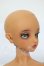 画像3: DOLLFIE ICON/Terra 2020 COLOR Y-26-05-15-001-WT-ZY (3)