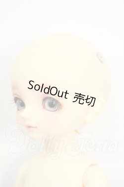 画像4: 幼SD/ニコ〜幼SD生誕15周年記念Ver.〜 Y-26-05-15-200-WT-ZY