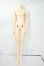 画像1: SOOM/IDEALIAN75:Eyden BODY Y-26-05-22-020-WT-ZY (1)